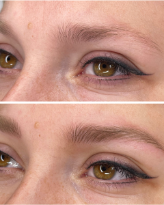Micropigmentación Cejas (2)